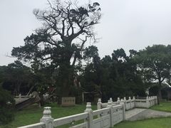 -司徒庙