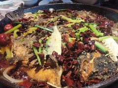 -老板恋上鱼(恒隆广场店)