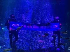 -沈阳海洋探索中心