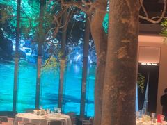 -桂满陇·海市蜃楼·黑金(国金店)