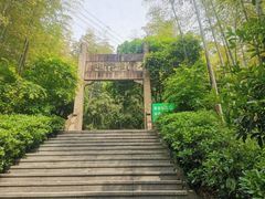 -紫金山山顶公园