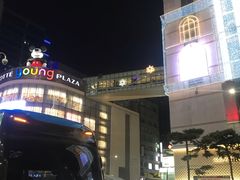 -新罗免税店(首尔总店)
