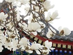 -西安市广仁寺