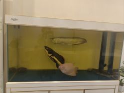 -FUMEIHUI·科技美肤·美体SPA