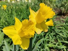 -国家植物园南园