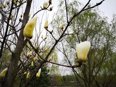 -西安汉城湖景区