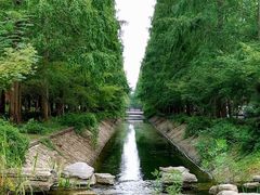 -东平国家森林公园