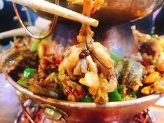 -楚媚娘炭火蛙锅(宽厚里店)