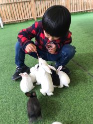 -萌宠亲子动物乐园(槐房万达店)