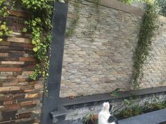 -民国红公馆·艺文空间(颐和路店)