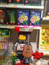 -乐高授权专卖店(中关村领展店)