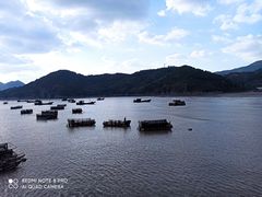 -小皓村