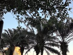 -服务大楼冷面(延大店)