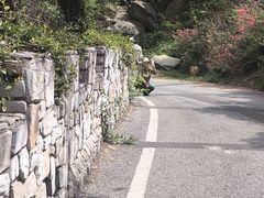 -木兰云雾山