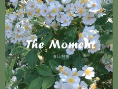 -黄河小浪底水利枢纽风景区