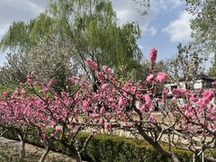 -海棠花溪(元大都城垣遗址公园)