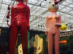 -凯德广场(学府店)