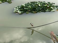 -无锡动物园·太湖欢乐园