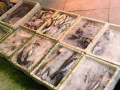 -隆都四季香饭店(碧海路店)