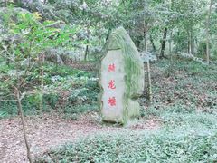 -上海佘山国家森林公园天马山园