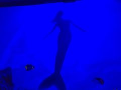 -南昌海洋公园