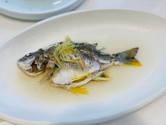 油盐姜丝蒸黄脚腊-花城苑广府菜(海心沙店)