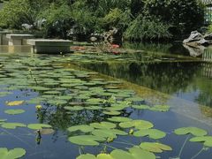 -杭州植物园