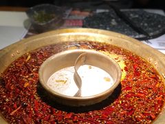 -新哥老官·畅吃123·美蛙世界(苏宁广场店)