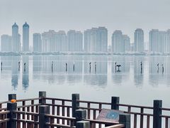 -厦门园林博览苑