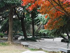 -西湖天地