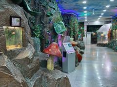 -上海大自然野生昆虫馆(东方明珠·爬宠昆虫探索中心)