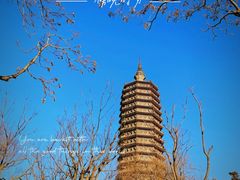 -西海子公园