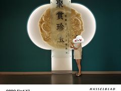 -天津博物馆