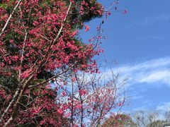 -镇海楼(屏山公园)