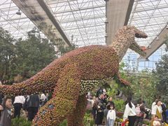-沈阳植物园