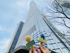 -中央广播电视总台(光华路办公区)