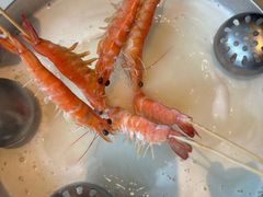 -一哥澳门豆捞·澳门风打边炉(高德置地店)