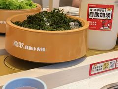 -龍歌自助小火锅(漳州二路爱购店)