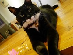 -研途咖啡馆(健康路店)