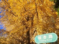 -辽宁大学(崇山校区)