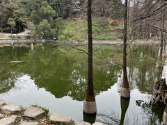-广州市白云山风景名胜区