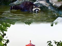 -上海野生动物园
