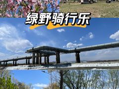 -绿堤公园