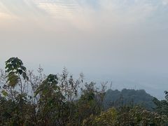 -杭州半山国家森林公园