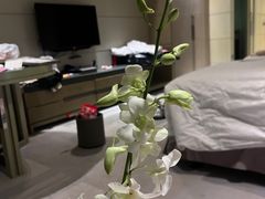 -西贡日航酒店