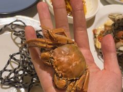 -喜庭海鲜自助(来福士店)