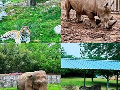 -西安秦岭野生动物园