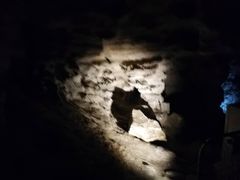 -怀托摩萤火虫洞