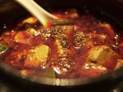 -陈麻婆豆腐总店