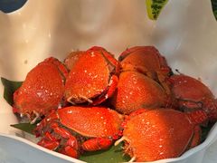 -朗丽兹自助餐厅